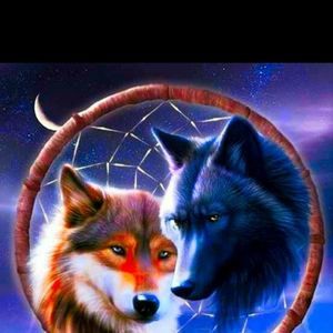 Meet your Posher, Paige